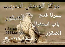 مركز الوحش لتدريب مركز الوحش لتدريب