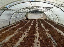 Farm Land for Sale in Zarqa Al-Qnaiya