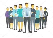 #رئيس_ الحسابات - chief_ accountant #رئيس_ الحسابات - chief_ accountant