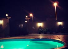 استراحة وشاليه فلانتينو للايجار اليومي استراحة وشاليه فلانتينو للايجار اليومي