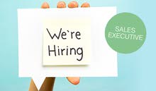 Female Sales Executive (HORECA) Female Sales Executive (HORECA)
