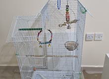New Big  bird cages