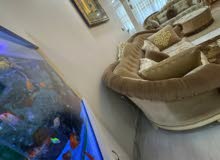 Furnished Daily in Istanbul Fatih