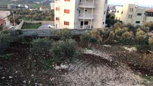 Mixed Use Land for Sale in Jenin Silat Al Harithiya