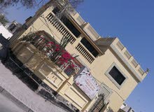 للاجار فيلا فخمه في مدينة عيسى تجارية للاجار فيلا فخمه في مدينة عيسى تجارية