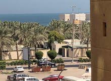 للعائلات فقط: ايجار شقة في المهبولة ق1 للعائلات فقط: ايجار شقة في المهبولة ق1