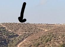 Mixed Use Land for Sale in Nablus Yasid