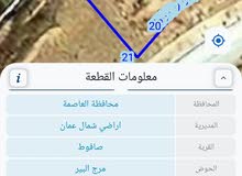 قطعة أرض من المالك مباشرة صافوط بسعر مغري 82000