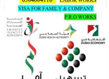 family visa services and new business setup