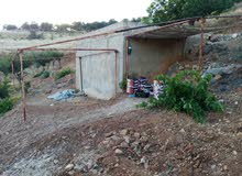 Farm Land for Rent in Ajloun A'anjara