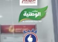 دجاج كامل وشاورما دجاج كامل وشاورما
