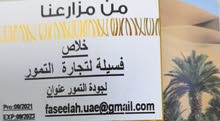 فسيلة لتجارة التمور فسيلة لتجارة التمور