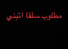 مطلوب سلقا اتبني مطلوب سلقا اتبني
