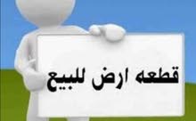 اراضي زراعية للبيع في بغداد البساتين