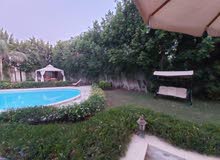 1200m2 More than 6 bedrooms Villa for Rent in Cairo Shorouk City