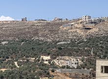 Mixed Use Land for Sale in Nablus Tal Village