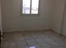 شقه الايجار شقه الايجار