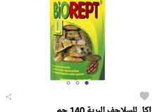 اكل سلاحف البريه وحوض بلاستك وسط اكل سلاحف البريه وحوض بلاستك وسط