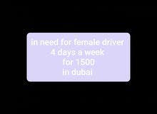 female driver dubai