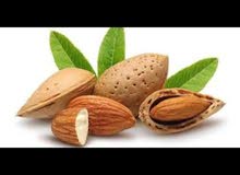 مطلوب بذور ( زريعة) اللوز المر مطلوب بذور ( زريعة) اللوز المر