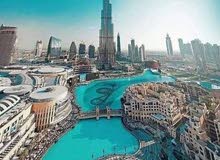 مطلوب شريك لرخصة خدمات فنيه في دبي مطلوب شريك لرخصة خدمات فنيه في دبي