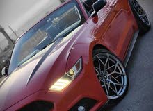 فقط من مكتب Lion Group فورد موستينج كشف للإيجار 2018 Ecoboost السياره رياضية فارهة تستحق التجربة