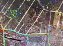 Farm Land for Sale in Tubas Other