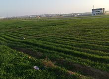 أرض 500 م للبيع في رجم الشامي (( الغدير )) بالقرب من شارع الميه