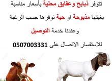 تيوس وخرفان وعجول تيوس وخرفان وعجول