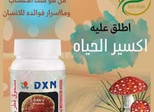 فطر ريشي فطر ريشي