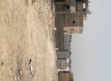 Residential Land for Sale in Jericho Ad Duyuk