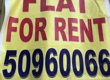 flat for rent abbasiya