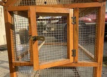 cage قفص cage قفص