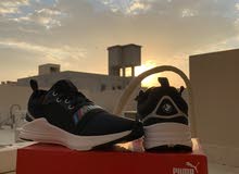 Puma MMS BMW Wired Run Puma MMS BMW Wired Run