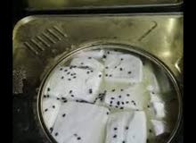 جبنه غنم جبنه غنم
