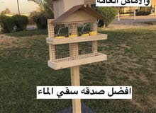 سقاية الماء والاكل للطيور سقاية الماء والاكل للطيور
