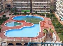 شقة بروف خاص 250 متر داخل كمباوند سكني مصيفي في شاطئ النخيل شقة بروف خاص 250 متر داخل كمباوند سكني مصيفي في شاطئ النخيل