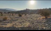 Farm Land for Sale in Zarqa Sarout