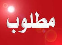 مطلوب دجاج سلكي اصلي مطلوب دجاج سلكي اصلي