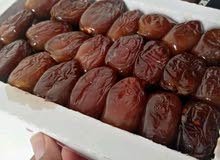تمور فقوس بجودة عالية تمور فقوس بجودة عالية