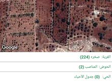 Farm Land for Sale in Ajloun Sakhra