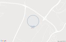 غرف مؤثثة وراقية بمركز المدينة بالدقم Furnished Rooms in Duqum City Center غرف مؤثثة وراقية بمركز المدينة بالدقم Furnished Rooms in Duqum City Center