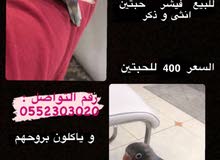 الطيور جميله الطيور جميله