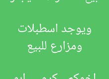 للإيجار شقه بسعد ق 5 وشقه بجابر ق5 تشطيب جديد بجابر لحد 3 اطفال للإيجار شقه بسعد ق 5 وشقه بجابر ق5 تشطيب جديد بجابر لحد 3 اطفال