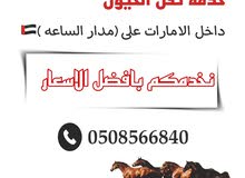 نقل خيول نقل خيول