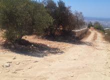 Mixed Use Land for Sale in Hebron Halhul