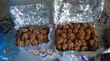 بشنيخة بشنيخة