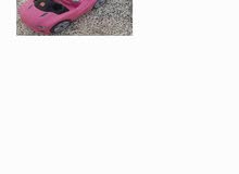 baby push car baby push car