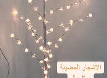 الشجرة المضيئه الشجرة المضيئه