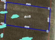 Residential Land for Sale in Irbid Al Husn